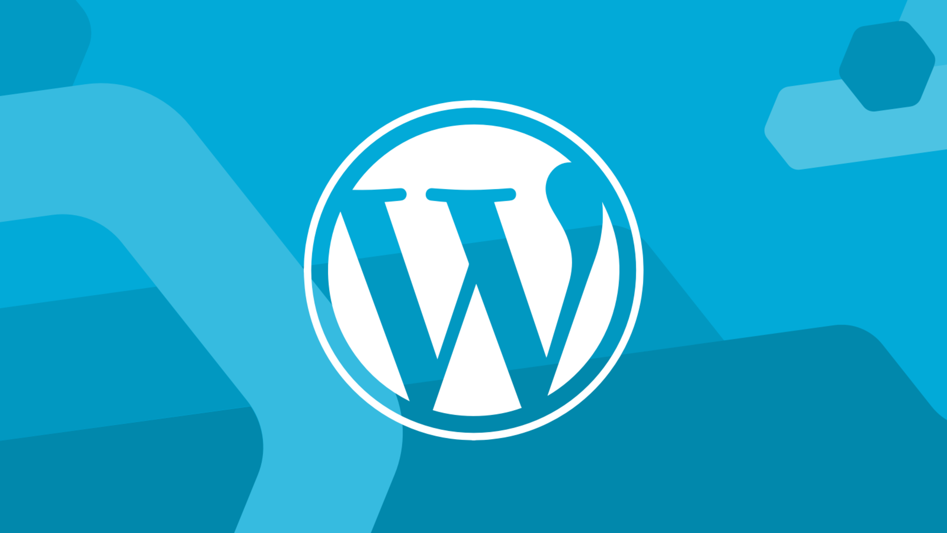 WordPress Tema Kurulumu