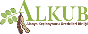 Alkun