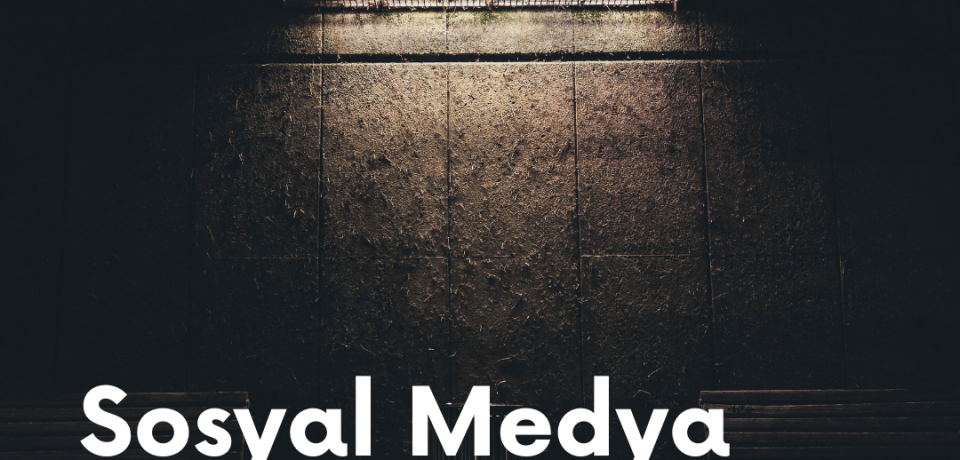 sosyal medya