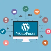 wordpress eklentileri