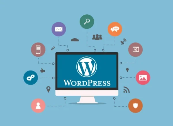 wordpress eklentileri