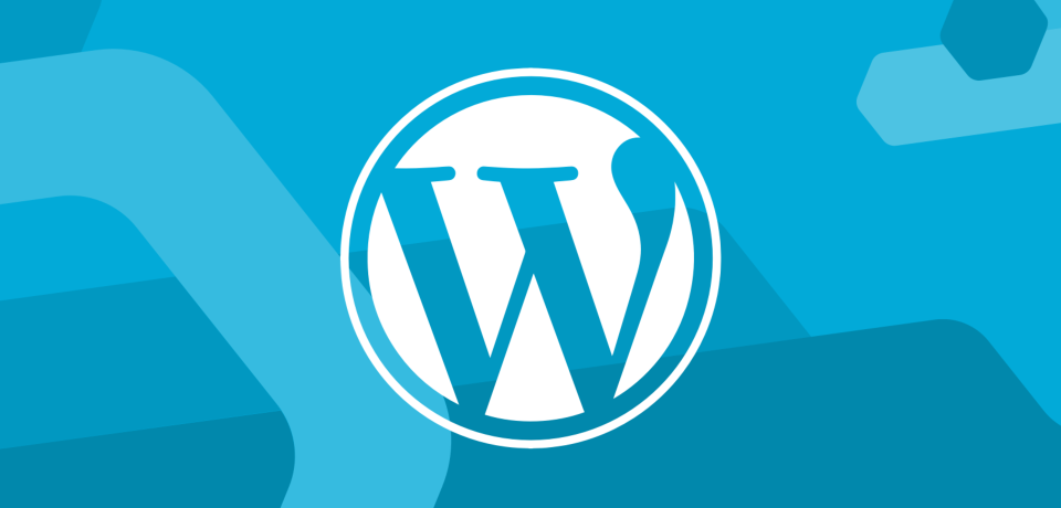 En İyi Wordpress Eklentileri