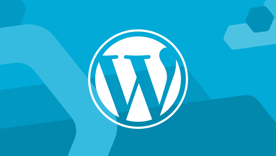 wordprss En İyi Wordpress Eklentileri